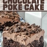rebanada de pastel de chocolate en un plato