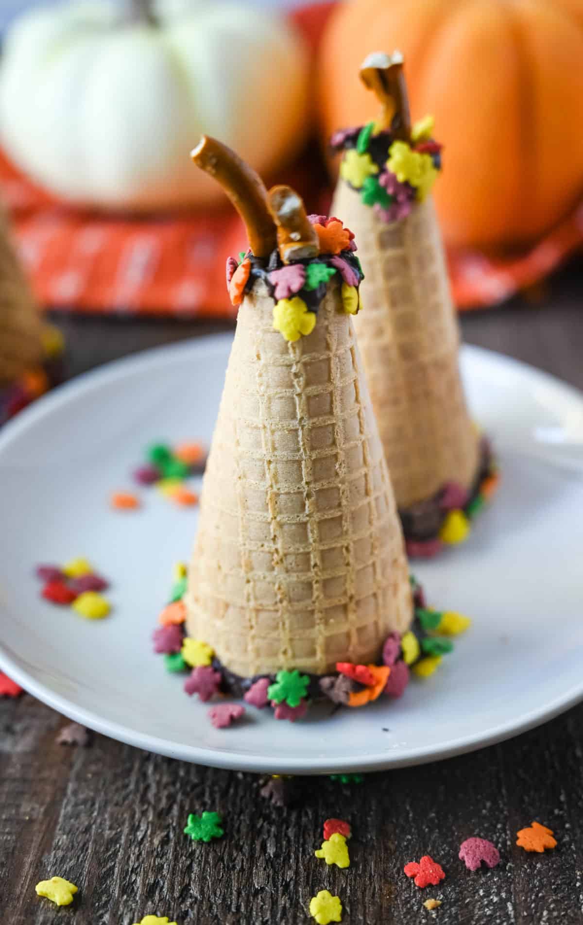 Dos carpas de otoño en un plato blanco.