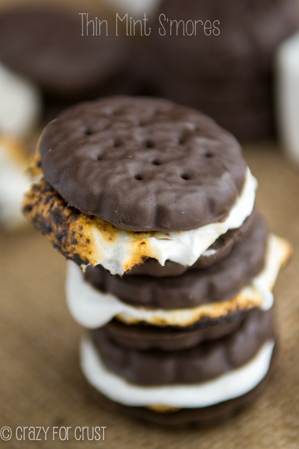 Fine-Mint-Smores-4-de-4w