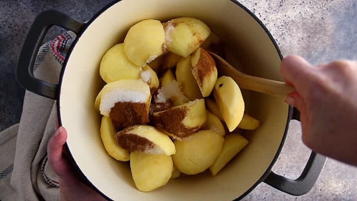 Manzanas, agua, azúcar y canela en una olla grande.