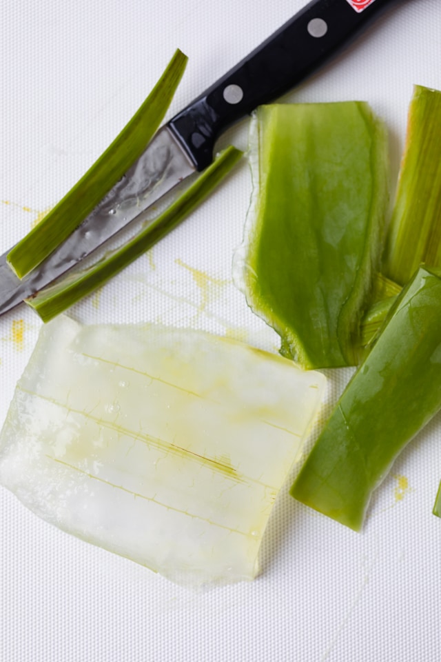 Gel de aloe vera en filetes para hacer batido de aloe vera