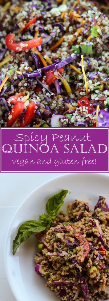 Esta ensalada picante de quinua y maní es vegana y sin gluten. Ideal para llevar y llevar a una fiesta.