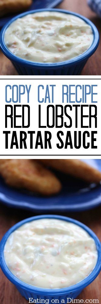 salsa tártara de bogavante rojo con receta fácil para gatos