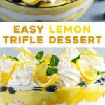 2 pines de fotos para postre de limonada